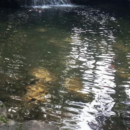 Carvalho De Muriqui Mangaratiba Exterior foto